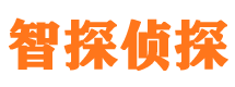 岳池市婚外情调查